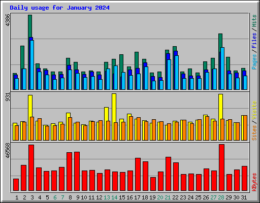 Daily usage for January 2024