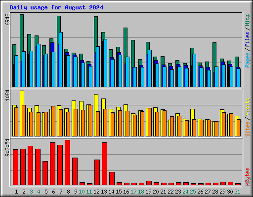 Daily usage for August 2024