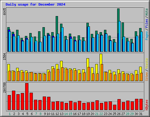 Daily usage for December 2024