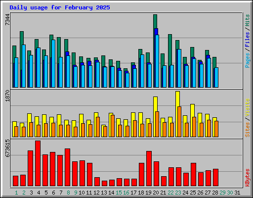 Daily usage for February 2025