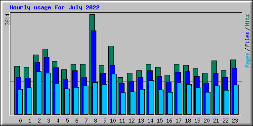 Hourly usage for July 2022