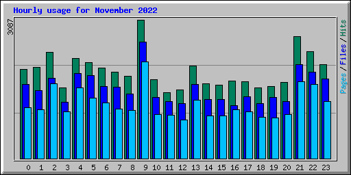 Hourly usage for November 2022