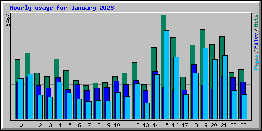 Hourly usage for January 2023