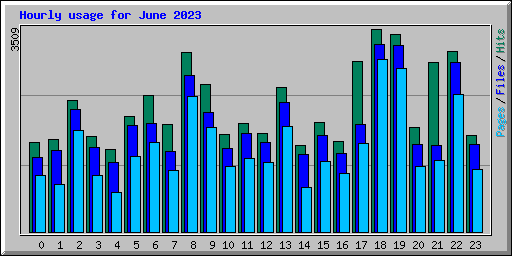 Hourly usage for June 2023