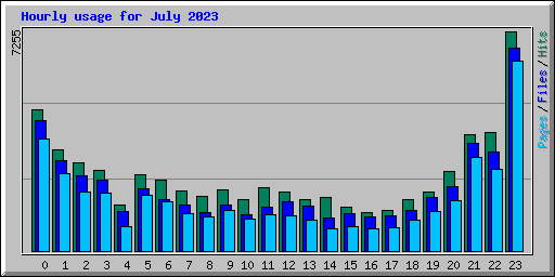 Hourly usage for July 2023