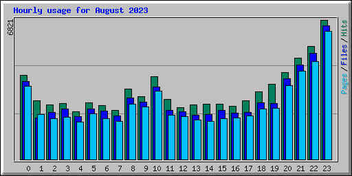 Hourly usage for August 2023