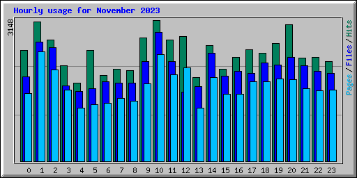 Hourly usage for November 2023