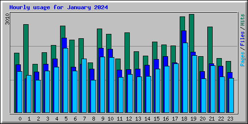 Hourly usage for January 2024