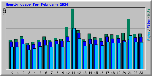 Hourly usage for February 2024