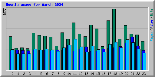 Hourly usage for March 2024