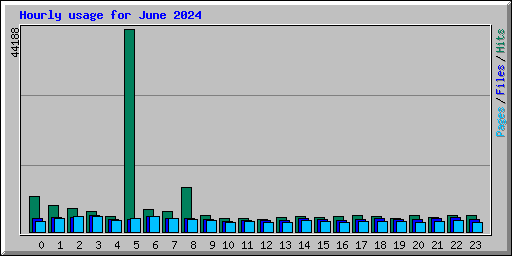 Hourly usage for June 2024