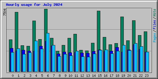 Hourly usage for July 2024