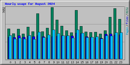 Hourly usage for August 2024