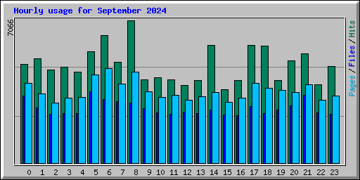 Hourly usage for September 2024