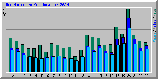 Hourly usage for October 2024