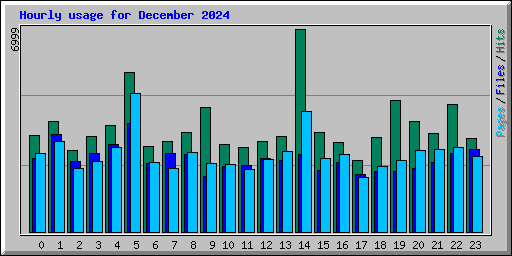 Hourly usage for December 2024