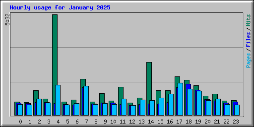 Hourly usage for January 2025