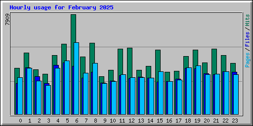 Hourly usage for February 2025