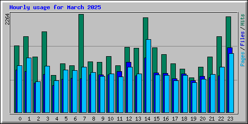 Hourly usage for March 2025