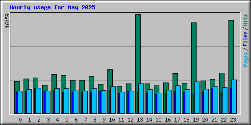 Hourly usage for May 2025