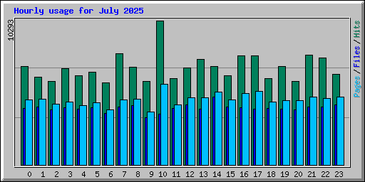 Hourly usage for July 2025