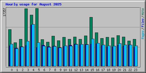 Hourly usage for August 2025