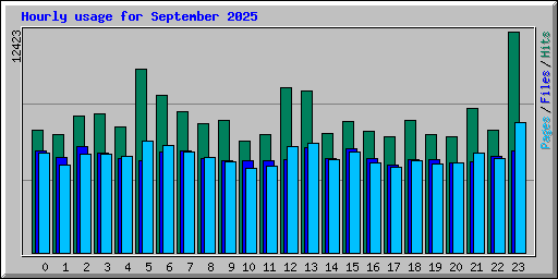 Hourly usage for September 2025