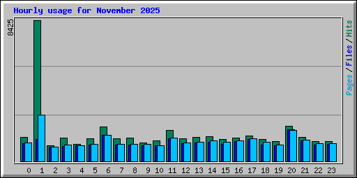 Hourly usage for November 2025