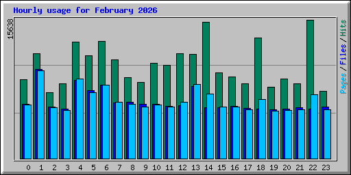 Hourly usage for February 2026