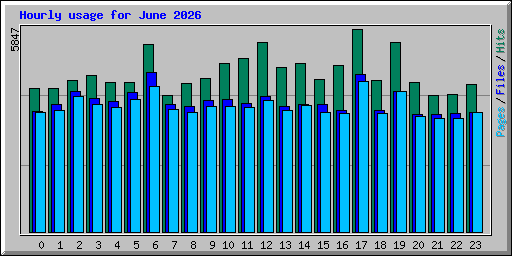 Hourly usage for June 2026