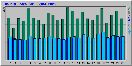 Hourly usage for August 2026